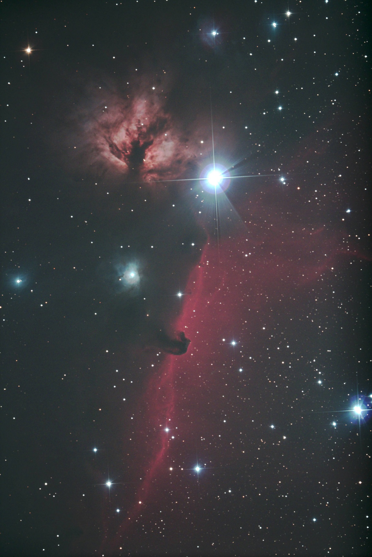IC434 馬頭星雲と"燃える木”