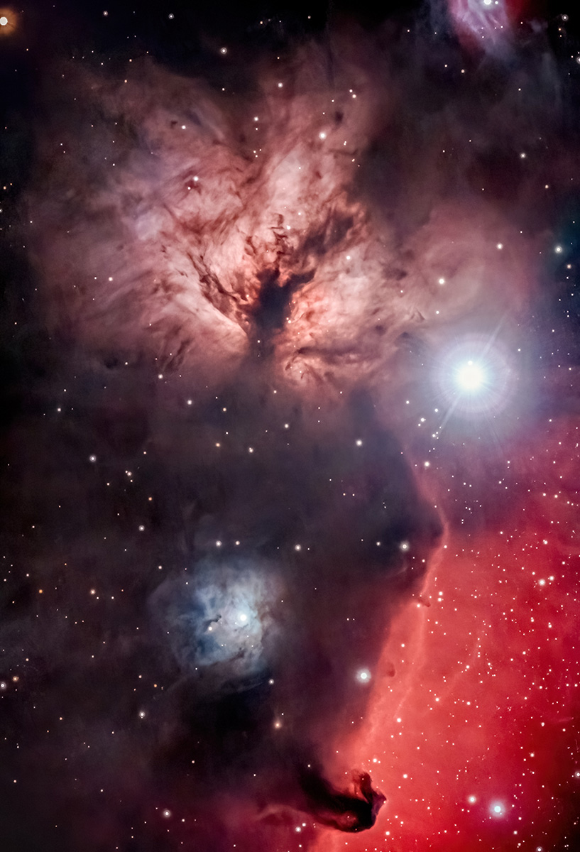 NGC2024　燃える樹