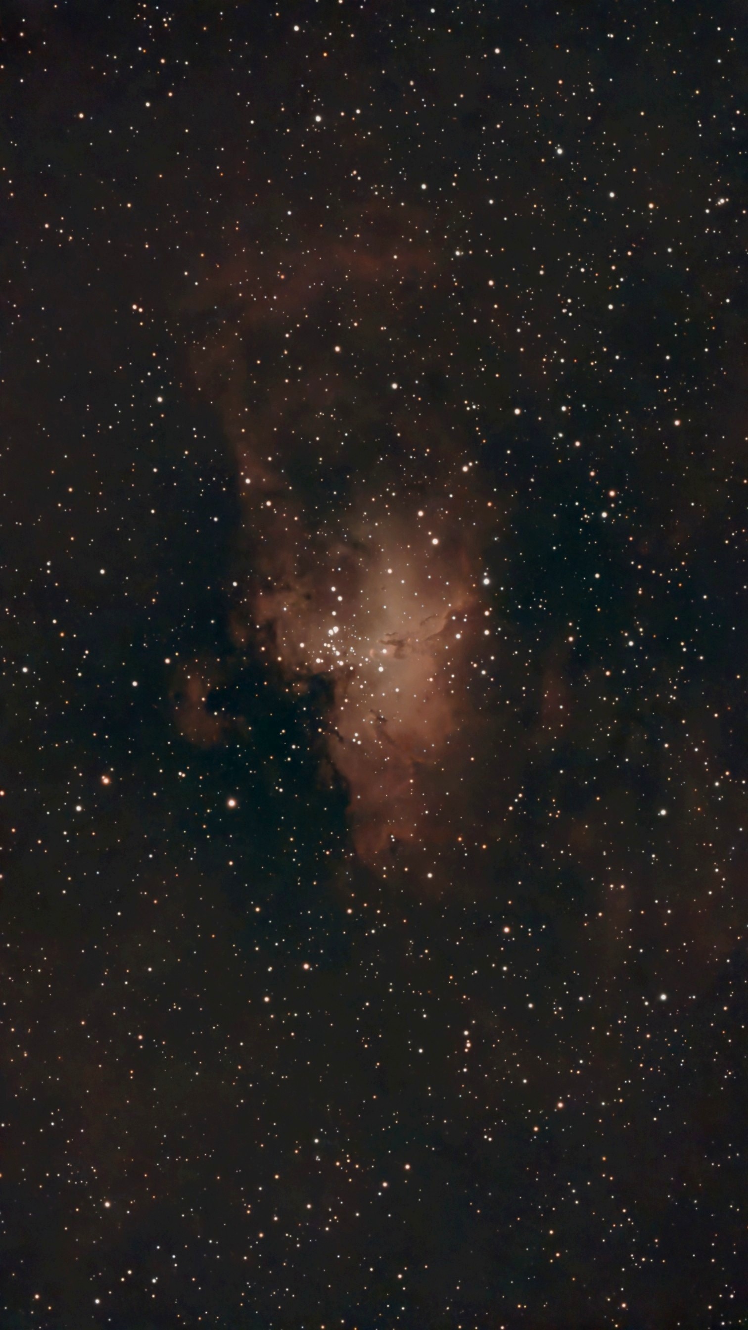 M16