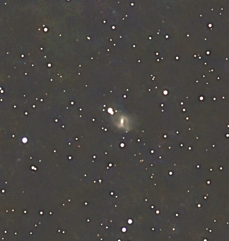 ペガスス座　NGC7741/棒渦巻銀河