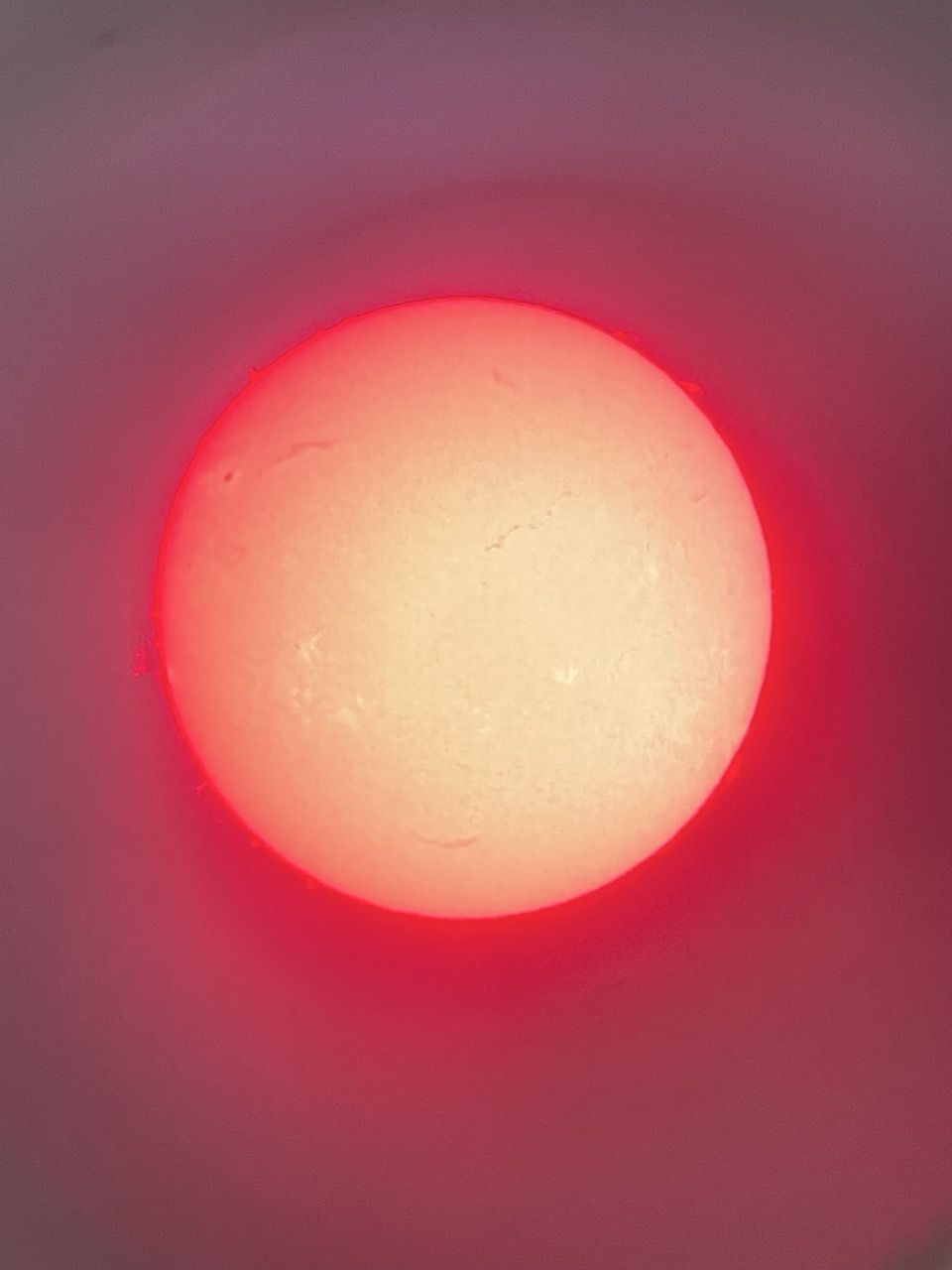 太陽(令和7年11月14日)