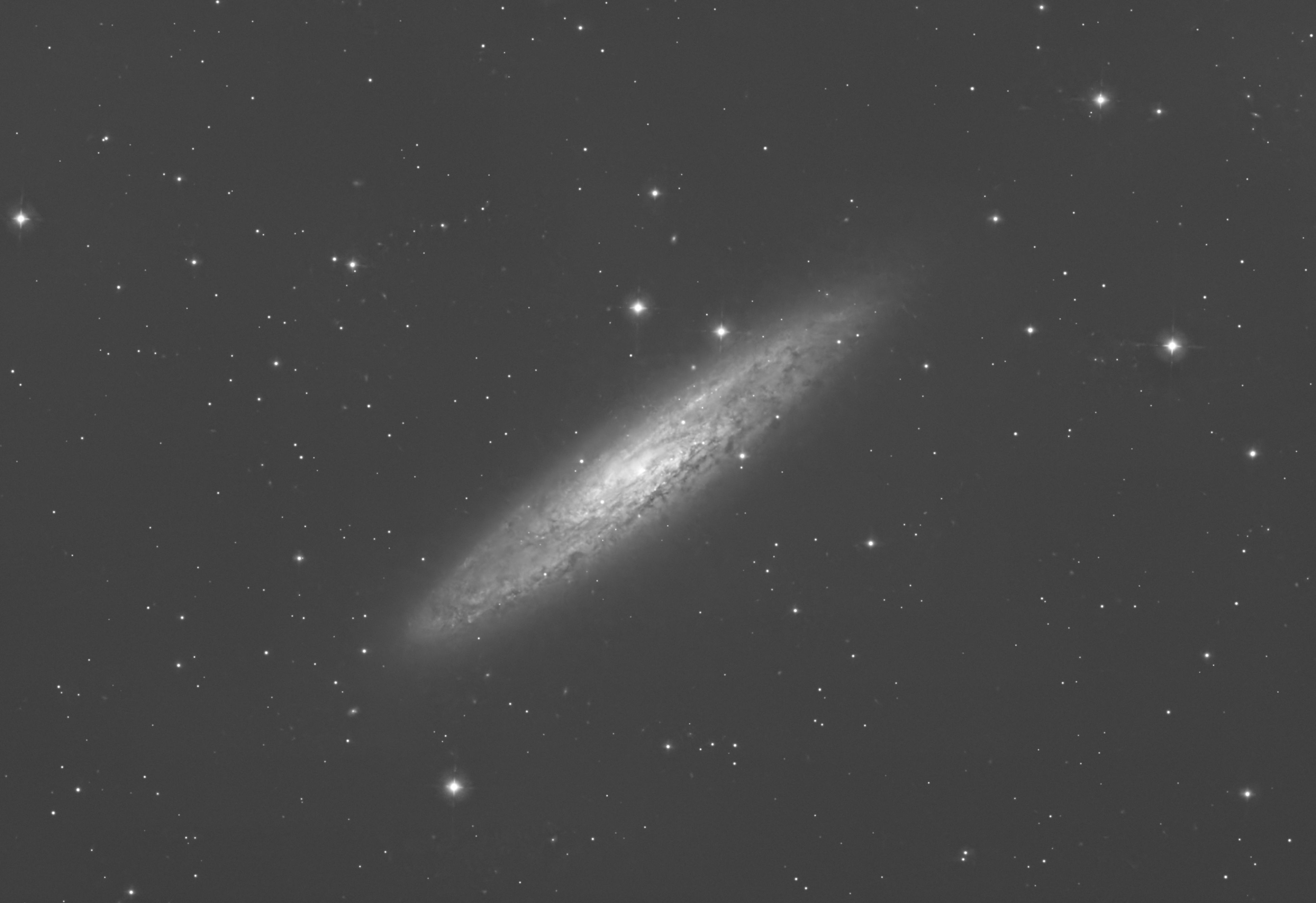 NGC253 