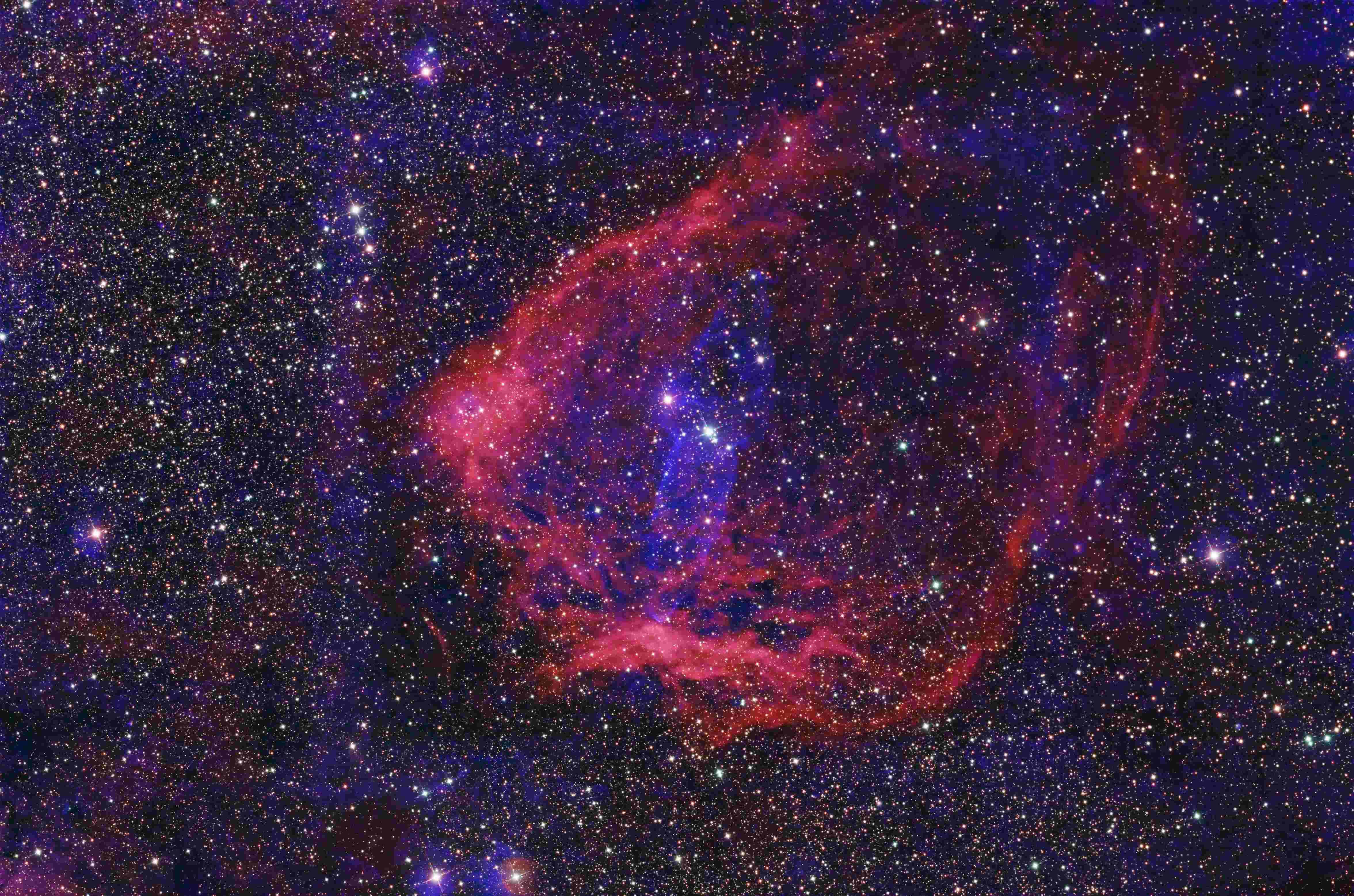 コウモリ星雲とダイオウイカ星雲