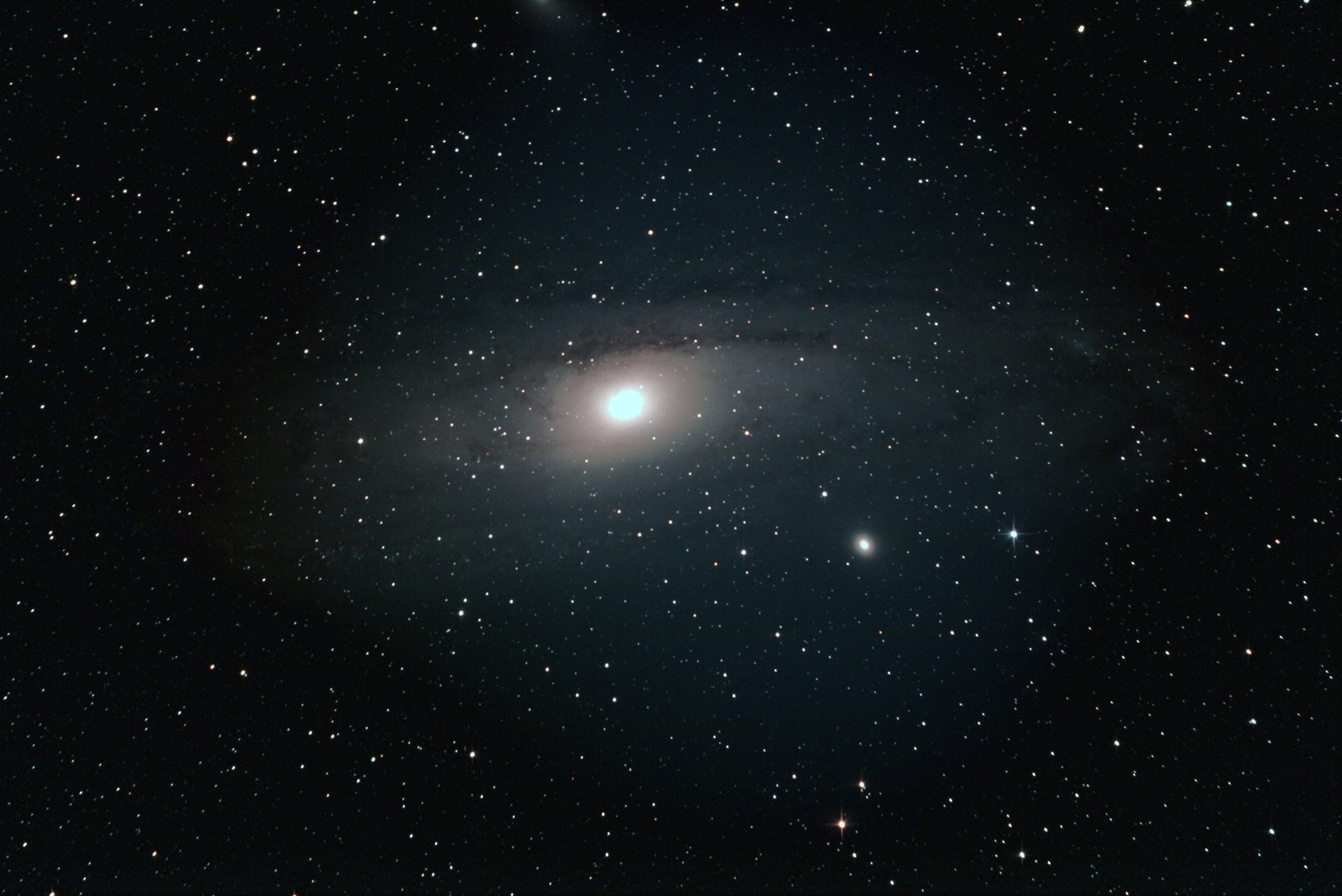 M31