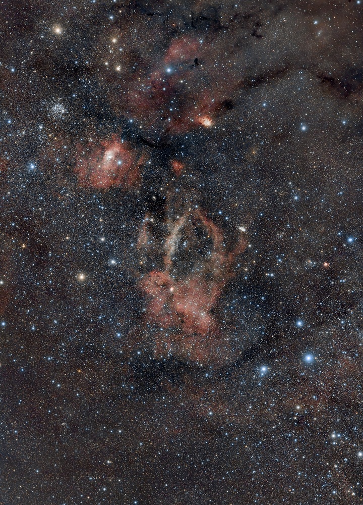 クワガタ星雲付近