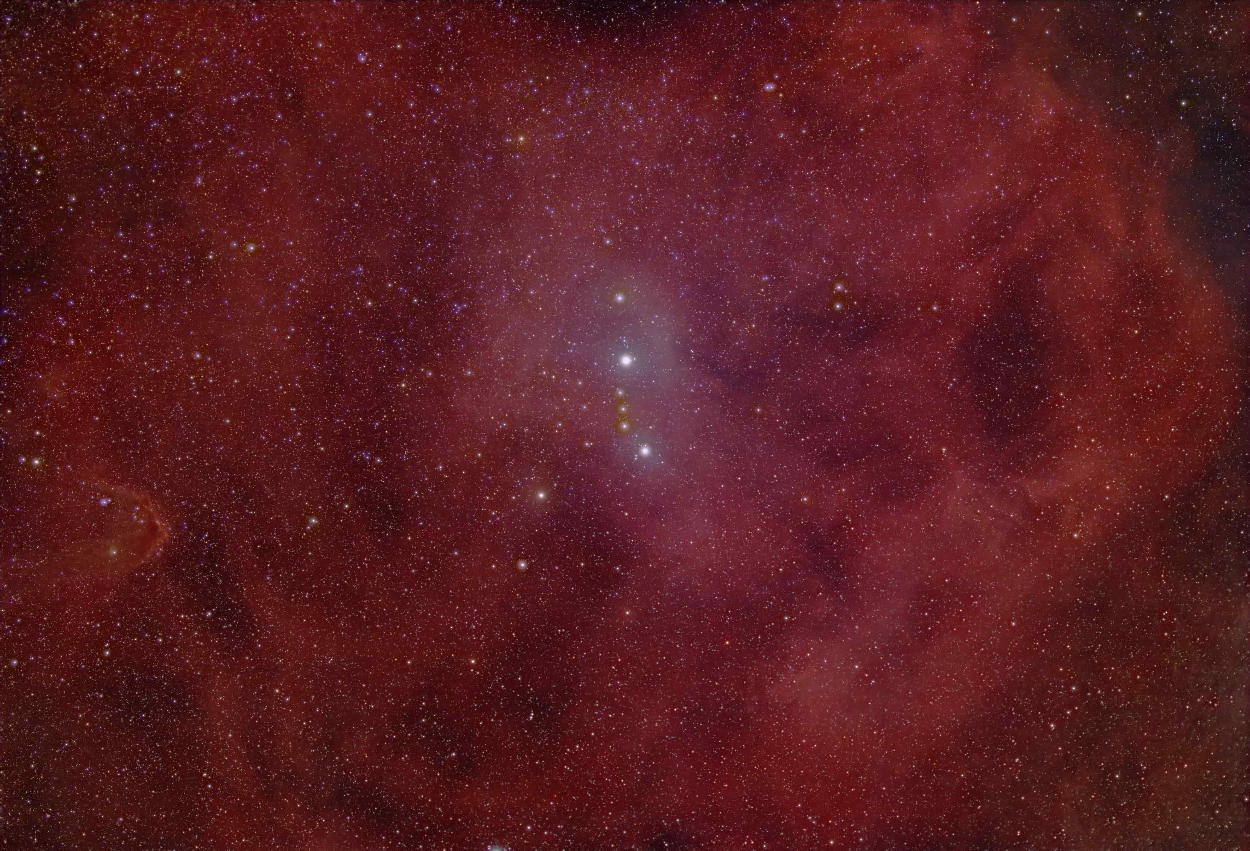 エンゼルフィッシュ星雲 Sh2-264